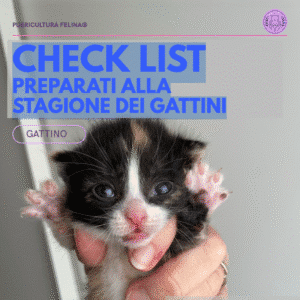 CHECK LIST Preparati alla stagione dei gattini